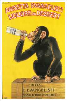 Anisetta Chimp