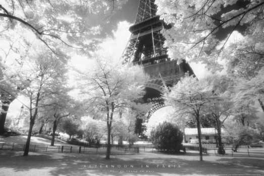 Afternoon In Paris