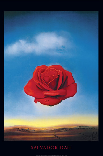 Dali Meditative Rose