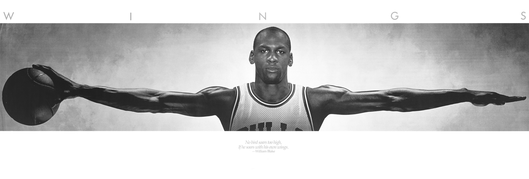 Michael Jordan Wings