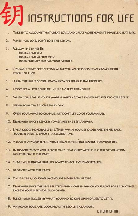 Instructions For Life