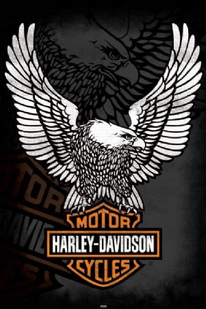 Harley Davidson