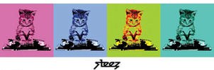 Steez DJ Kitty x4