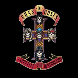 Guns N Roses (12x12) 