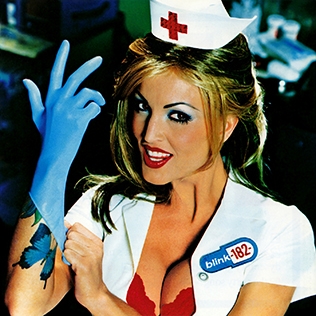 Blink 182 Enema Of The State (12x12)