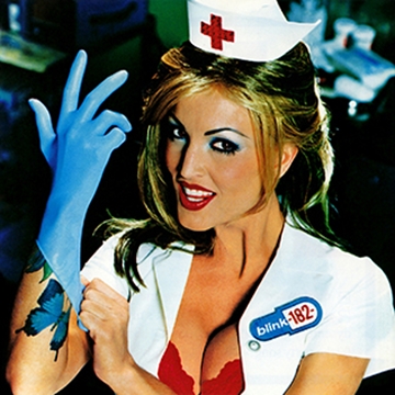 Blink 182 Enema Of The State (12x12) 