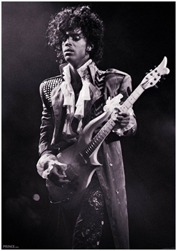 Prince Guitar